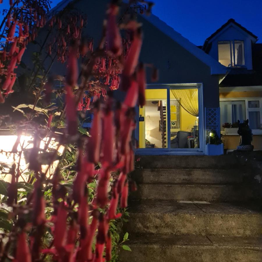 The Plough B&B Ventry Exterior photo