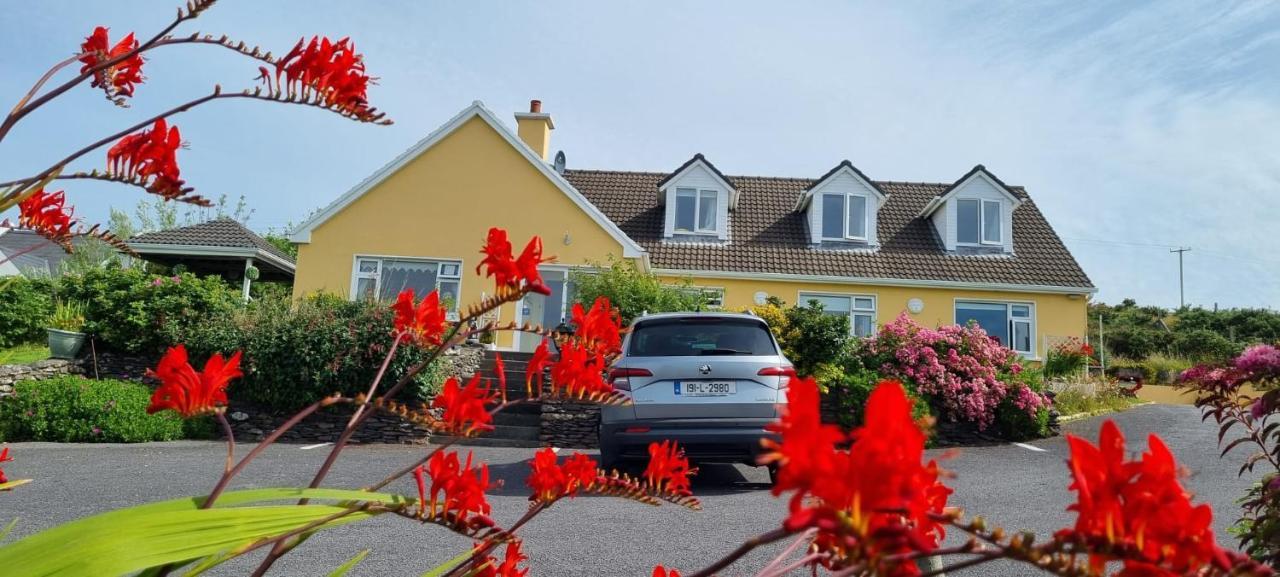 The Plough B&B Ventry Exterior photo