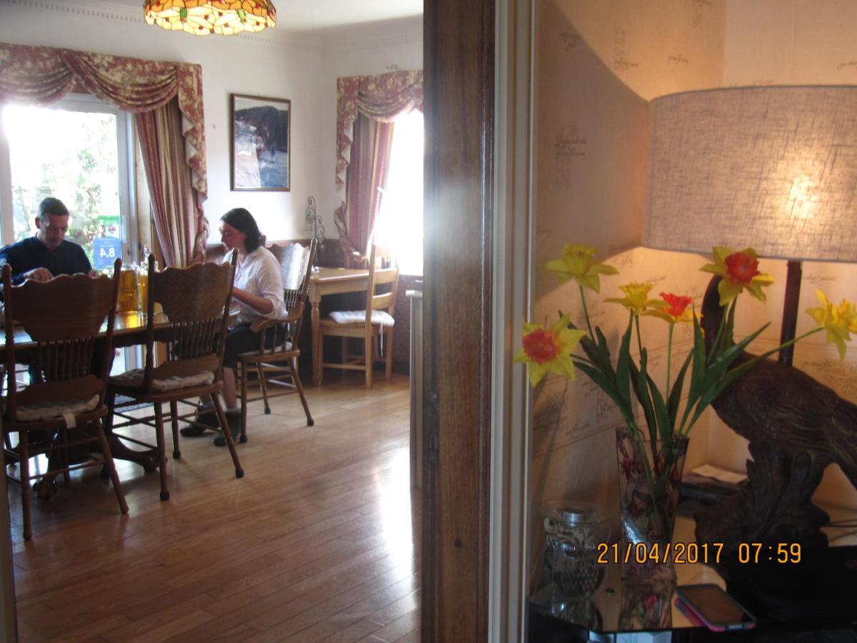The Plough B&B Ventry Exterior photo